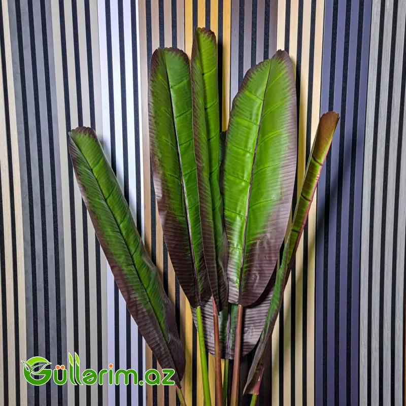 Süni Banana Bitkisi (Artificial Banana Plant) — Dekor və interyeri, Bakı (2)