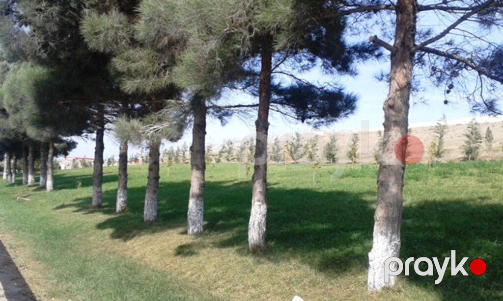 5 sot torpaq sahəsi, Xırdalan ş — Torpaq, Xırdalan (8)