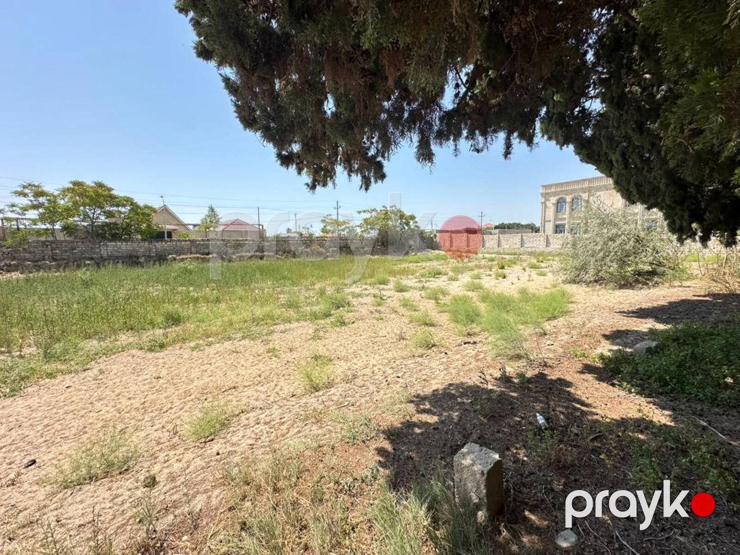 Satılır torpaq 19 sot — Torpaq, Bakı (7)