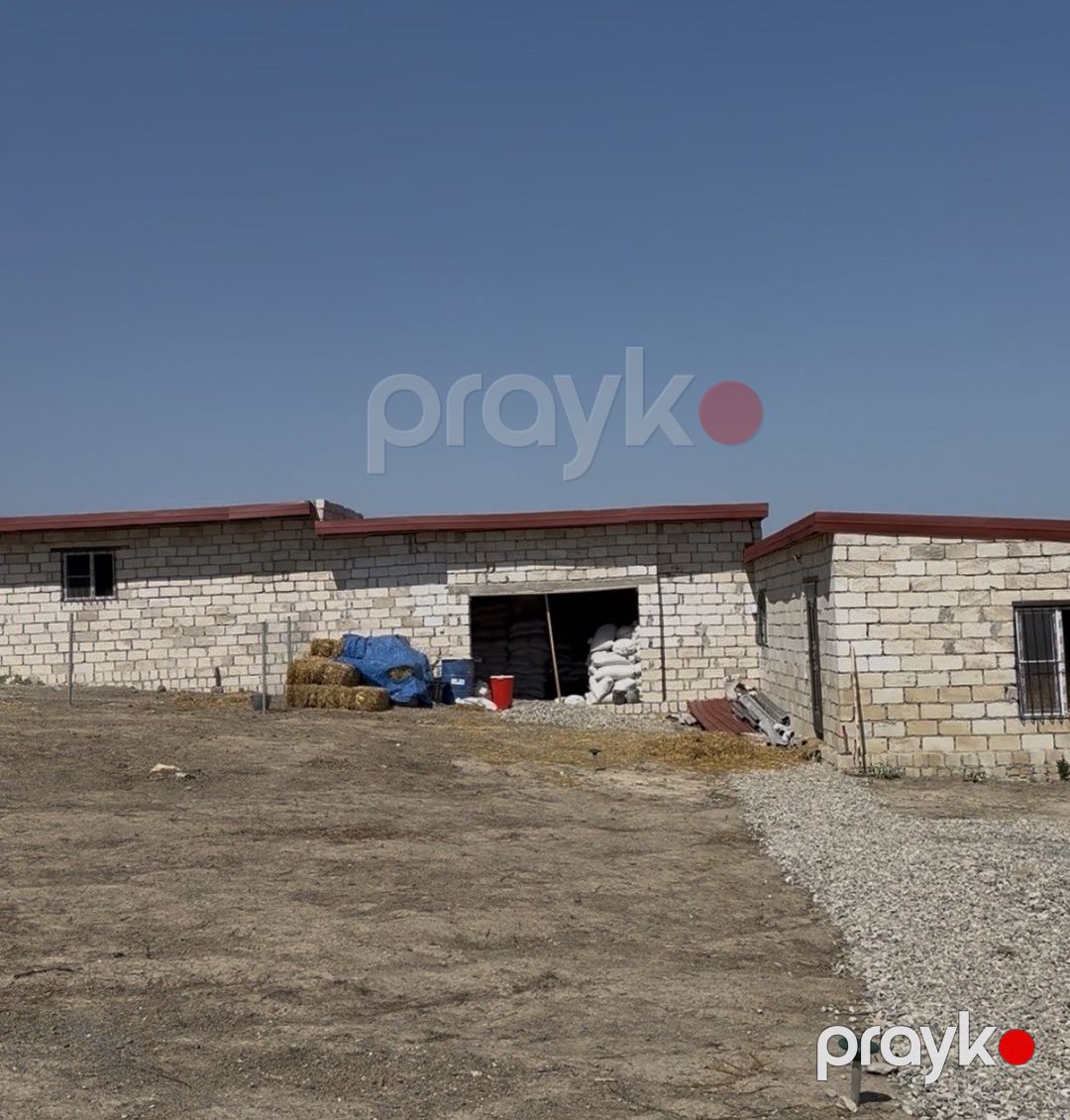 57 sot torpaq sahəsi, Şabran r — Torpaq, Şabran (8)