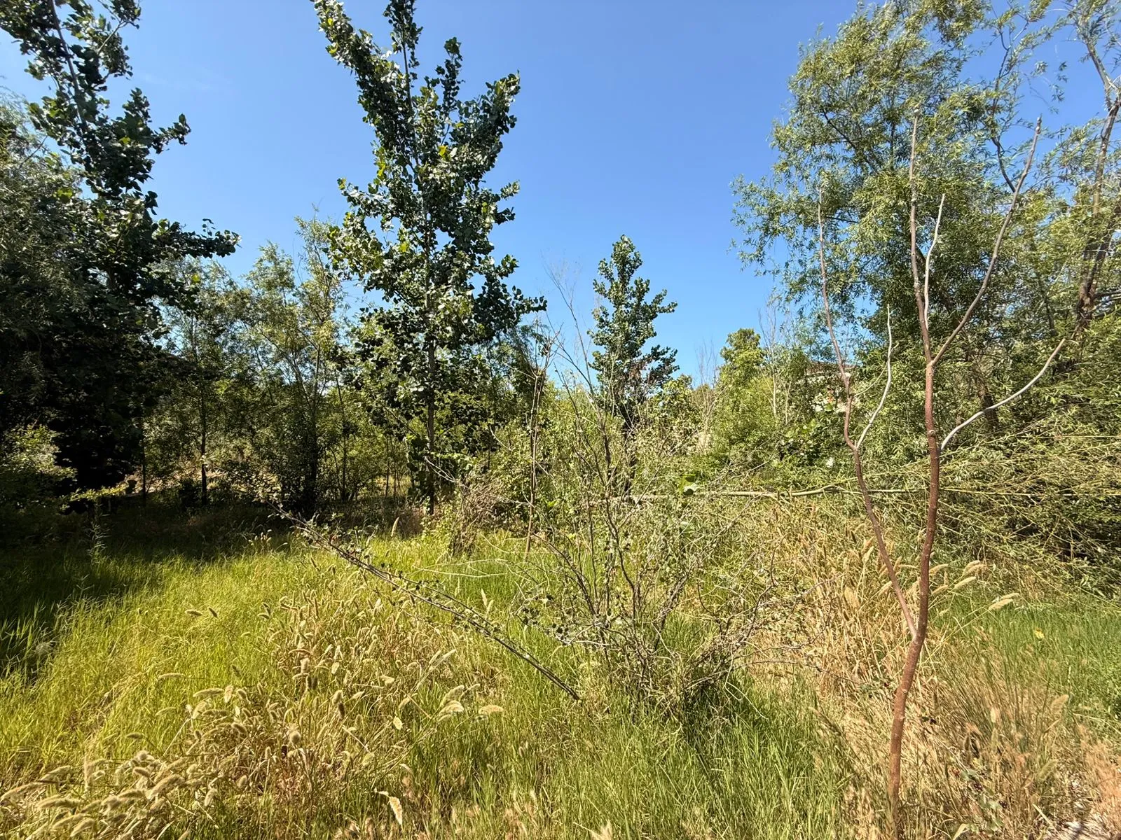 Şağan, Torpaq satılır - 20 sot — Torpaq, Bakı (5)
