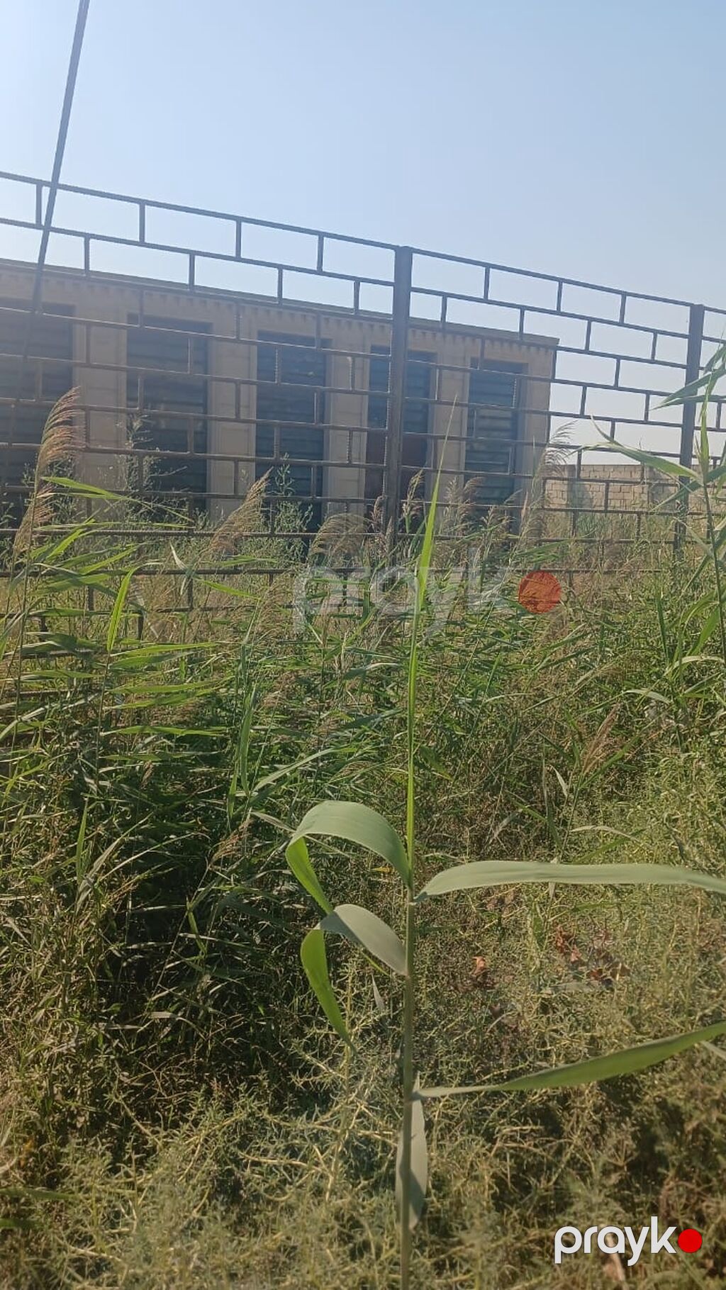 5 sot, Tikinti, Mülkiyyətçi, Kupça (Çıxarış) — Torpaq, Digah