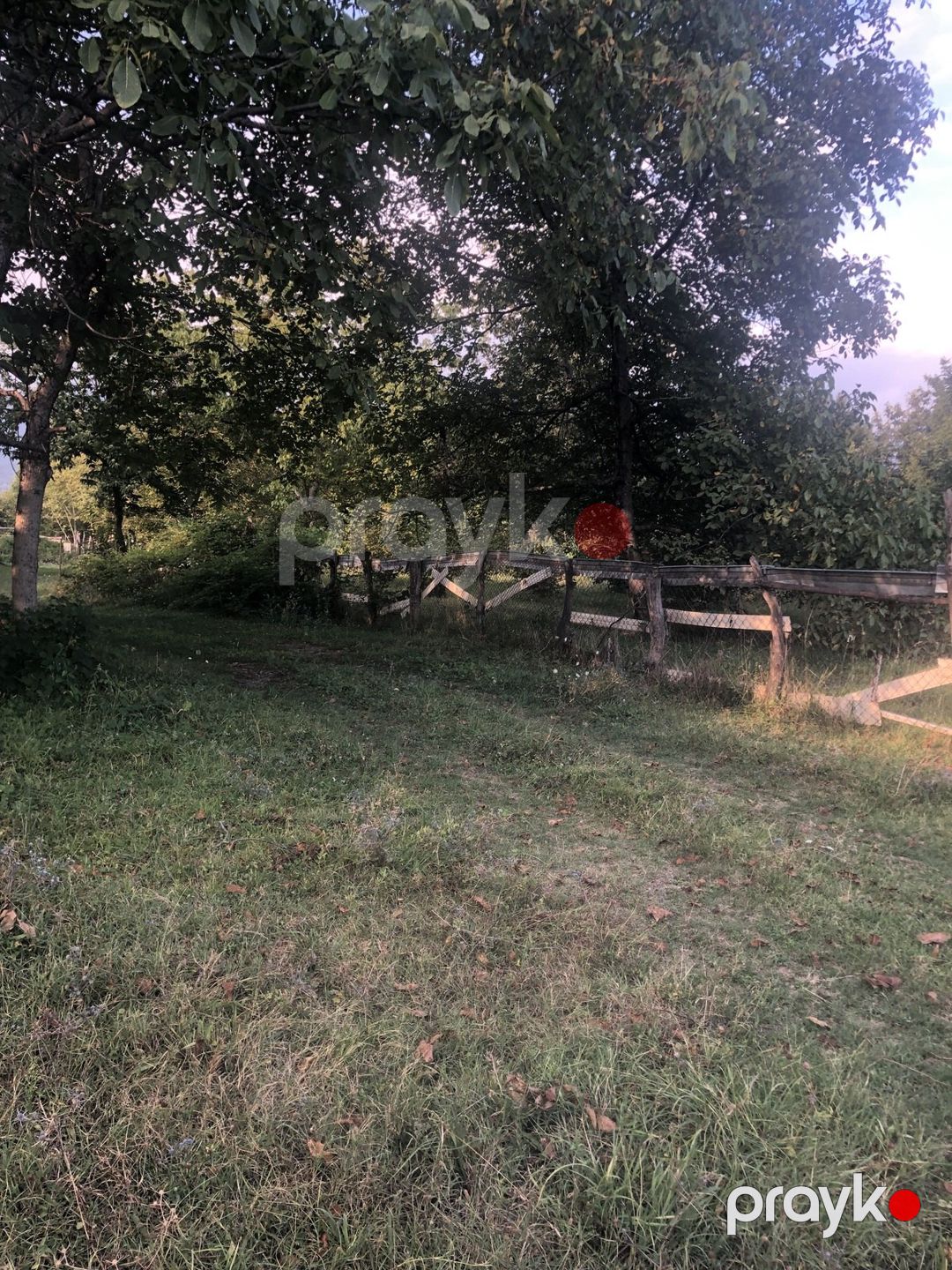 Satılır torpaq 3 sot — Torpaq, Qəbələ (5)