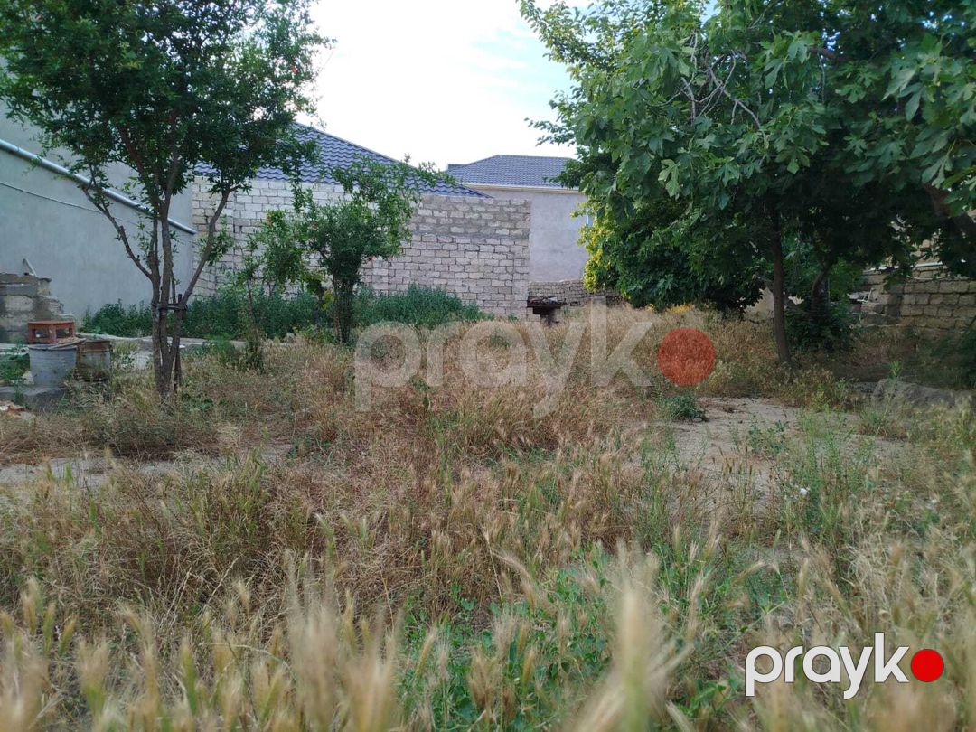 Satılır torpaq 4 sot — Torpaq, Bakı (5)