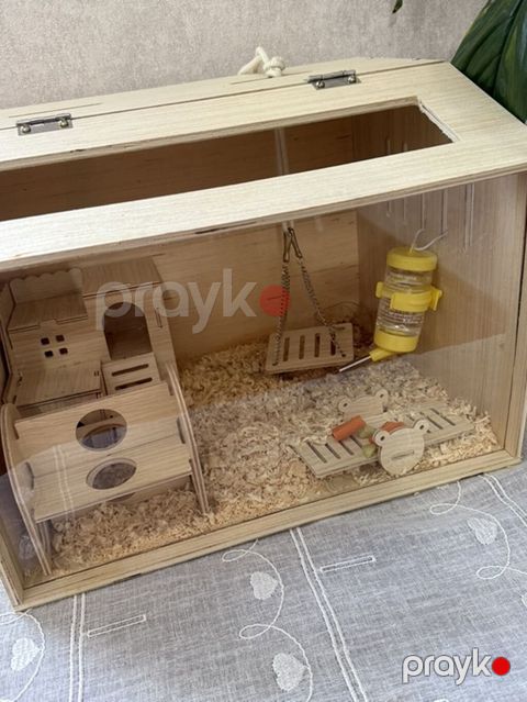 Taxta hamster evi və aksesuar dəsti / 2 balaca hamster (2 ayliq,hər — Bakı
