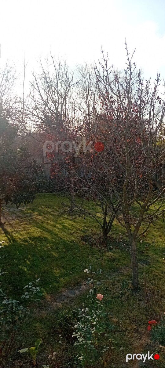 12 sot torpaq sahəsi, Ağdaş r — Torpaq, Ağdaş