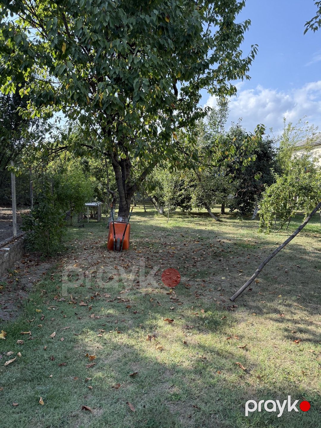 Satılır torpaq 8 sot — Torpaq, İsmayıllı (11)
