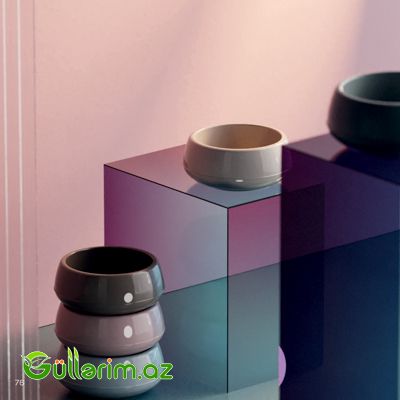 Plastik Dibçək 017 — Bağ dekorasiyası, Bakı (5)