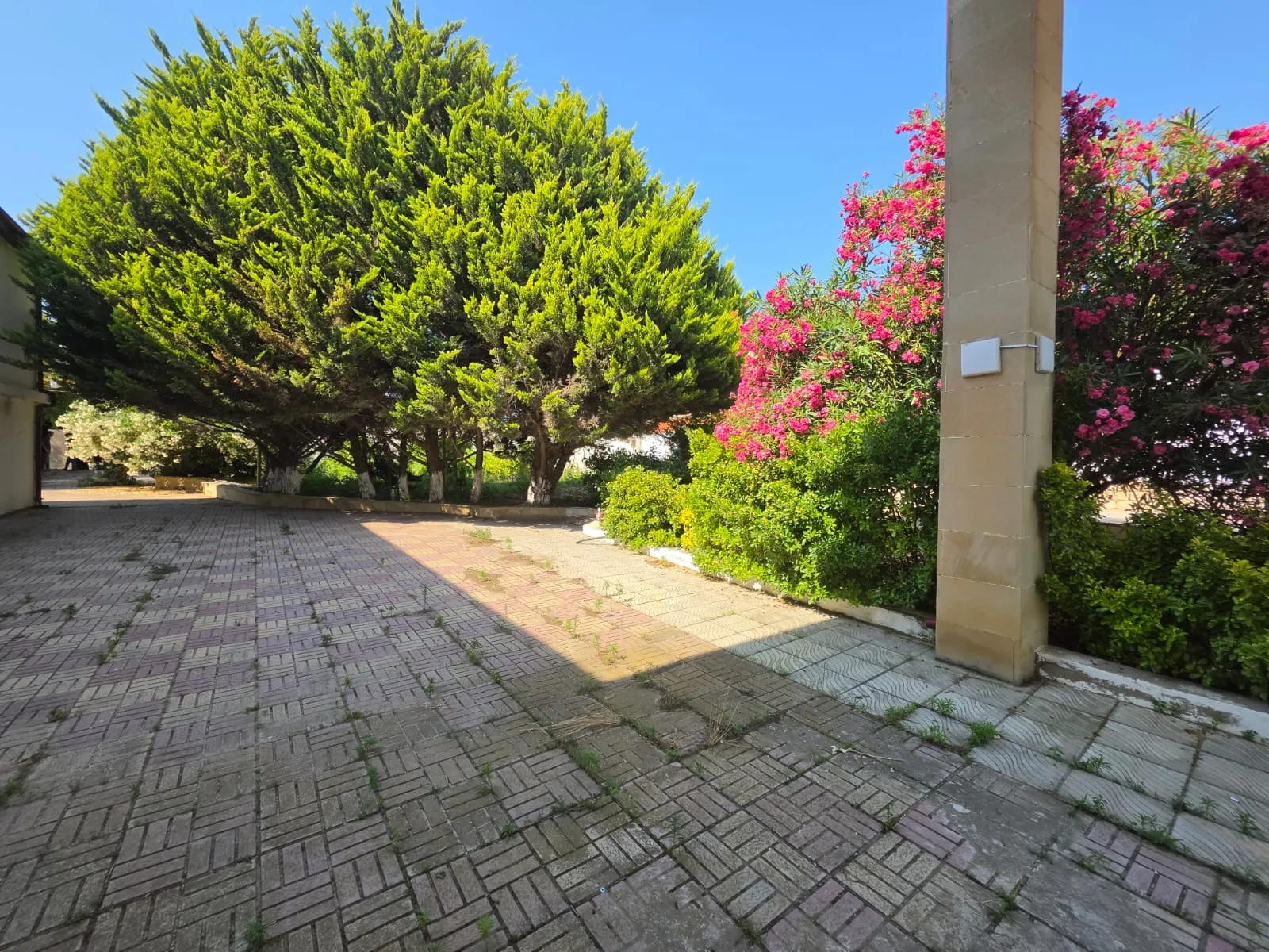 Novxanı, Torpaq satılır - 12 sot — Torpaq, Bakı (5)