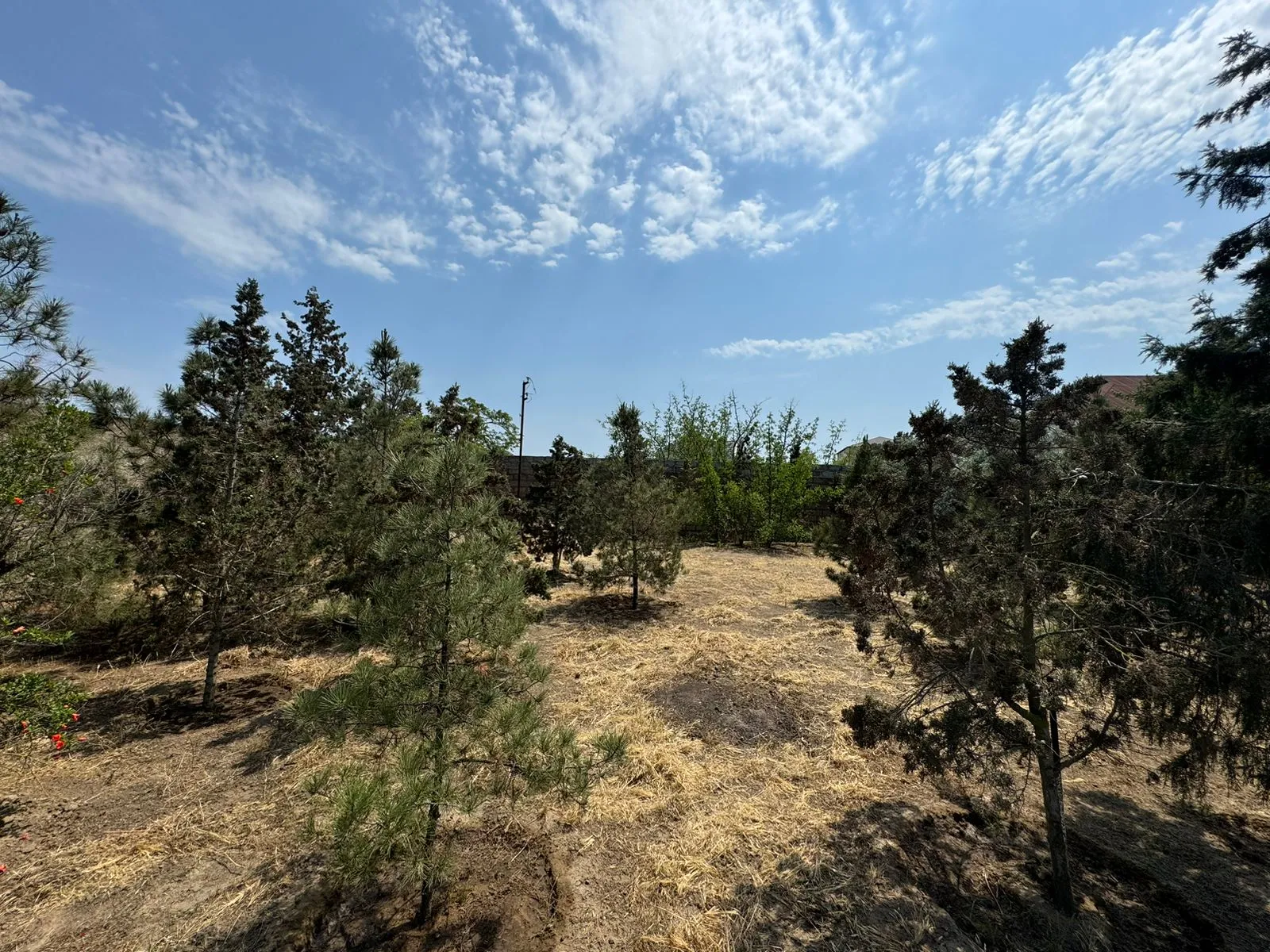 Şüvəlan, Torpaq satılır - 14 sot — Torpaq, Bakı (4)