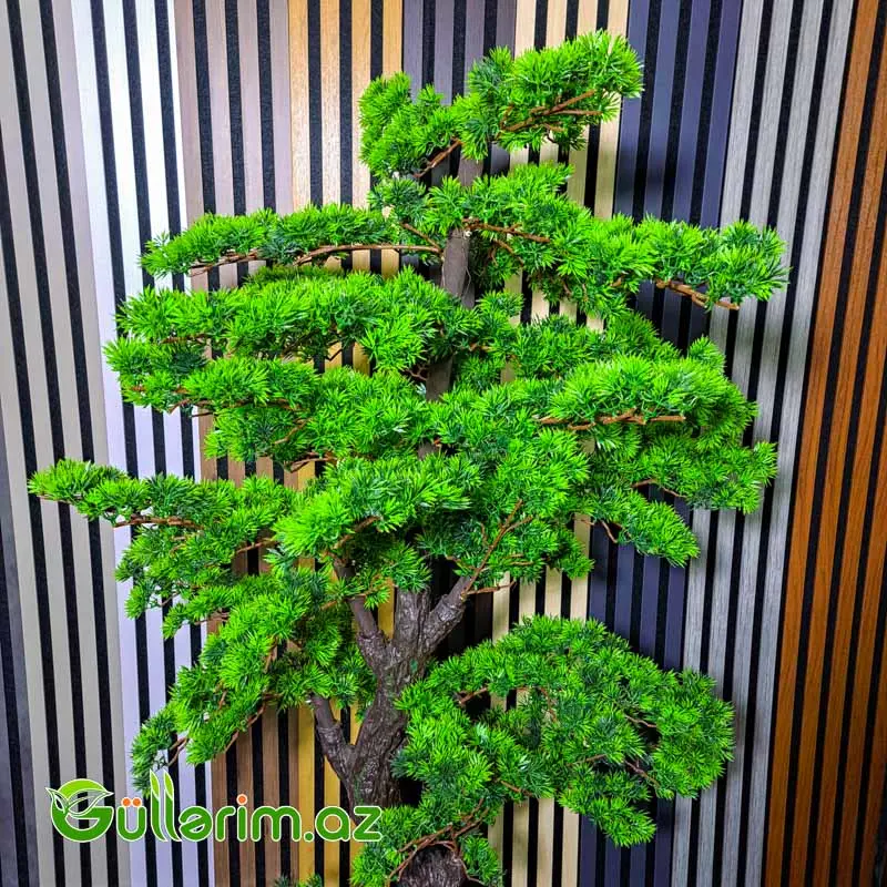 Süni Bonsai Ağacı (Yapon üslublu) — Dekor və interyeri, Bakı (2)