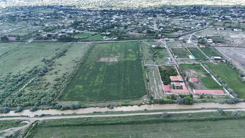 Sabirabad, Ferma satılır - 250 m², 1000 sot — Əmlak, Sabirabad (3)