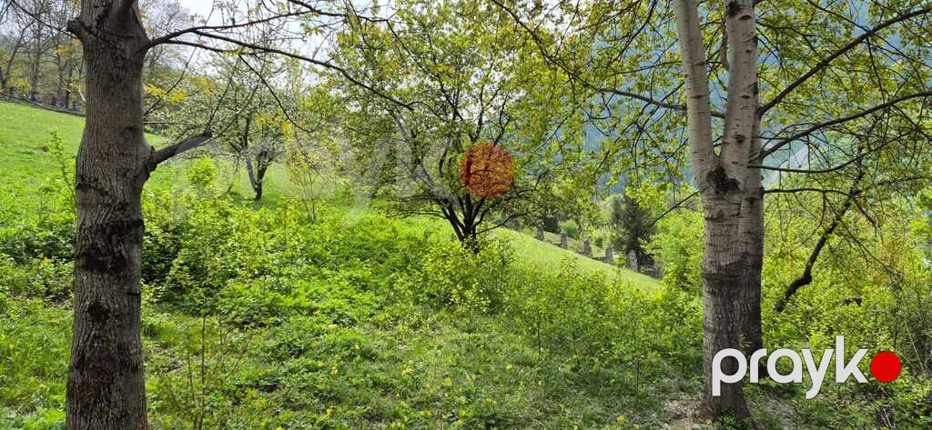 Satılır torpaq 45 sot — Torpaq, Quba (9)