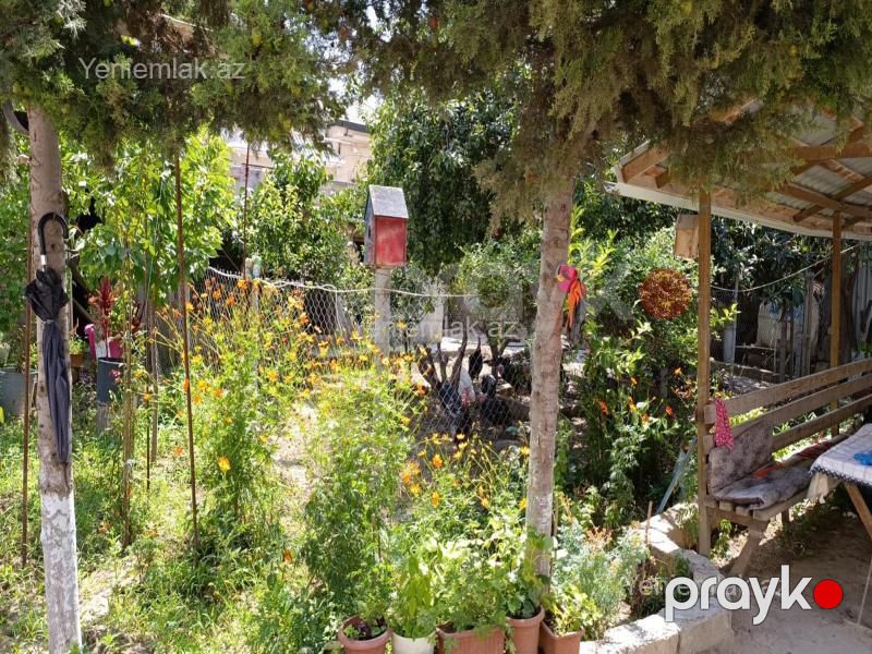 Satılır Torpaq sahəsi, 3 sot, Masazır — Torpaq, Abşeron (4)
