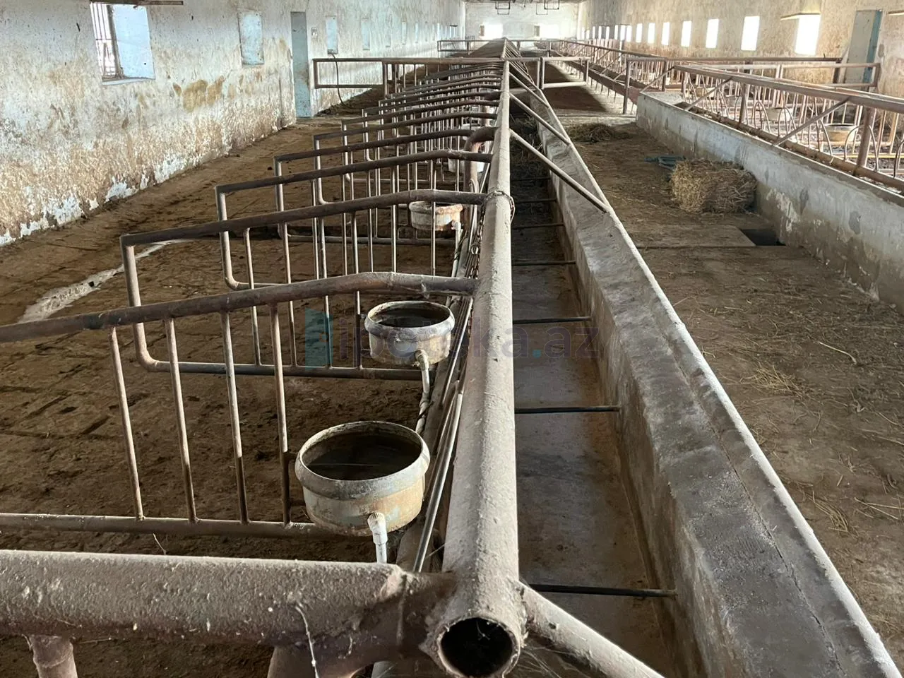 Satılır: Torpaq, 30.00 hektar — Torpaq, Şirvan (8)