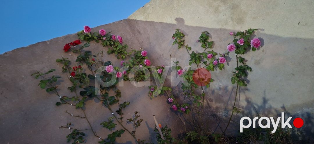 Həyət evi, Qala qəs — Ev, villa, Bakı (9)