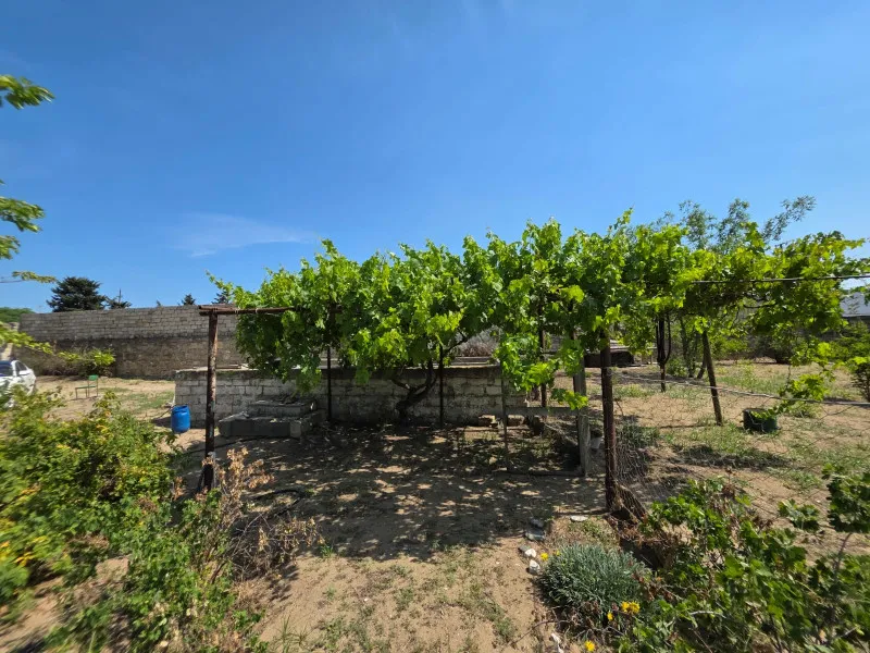 Şüvəlan, Torpaq satılır - 20 sot — Torpaq, Bakı (4)