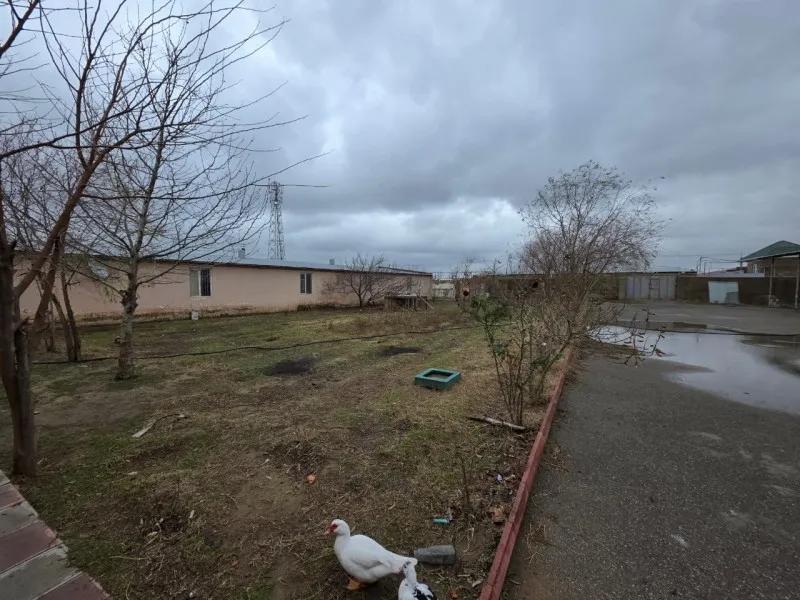 Qala, Torpaq satılır - 12 sot