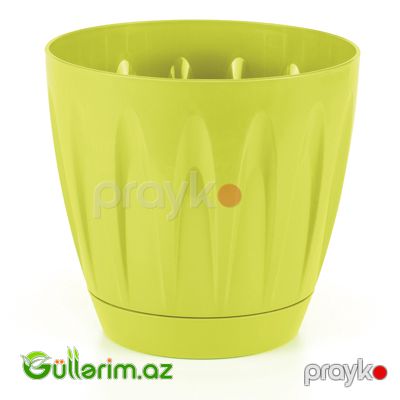 Plastik Dibçək 04 — Bağ dekorasiyası, Bakı (4)