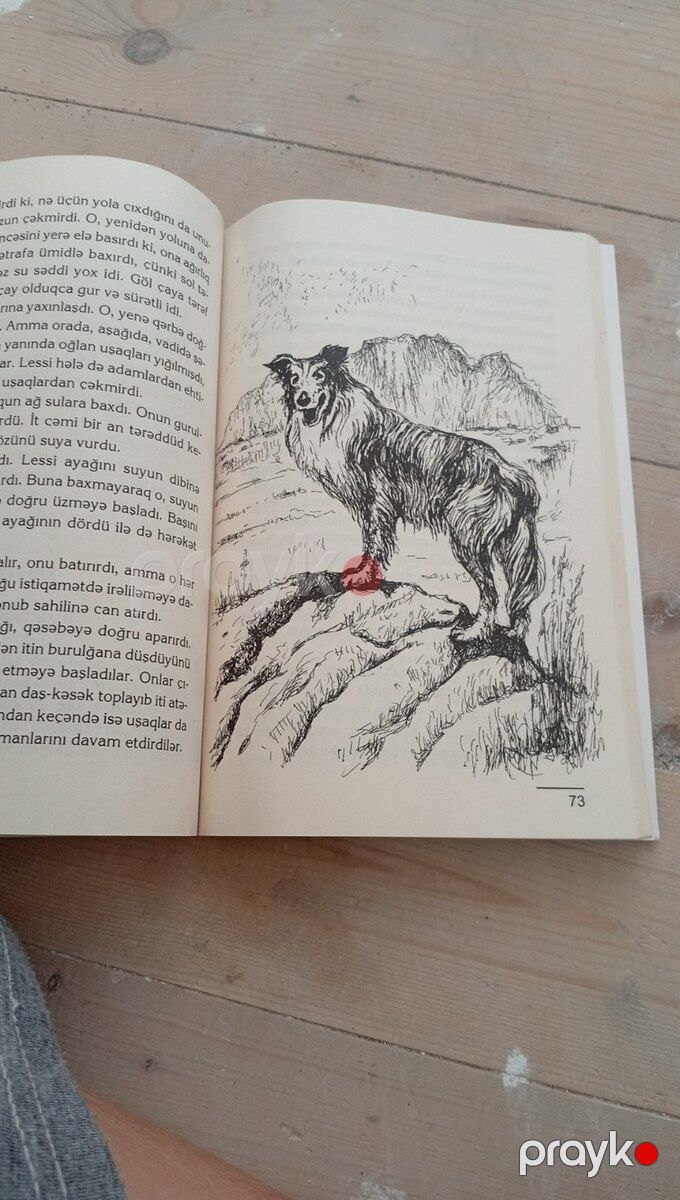 Kitab Lessi — Kitablar və jurnallar, Bakı (4)