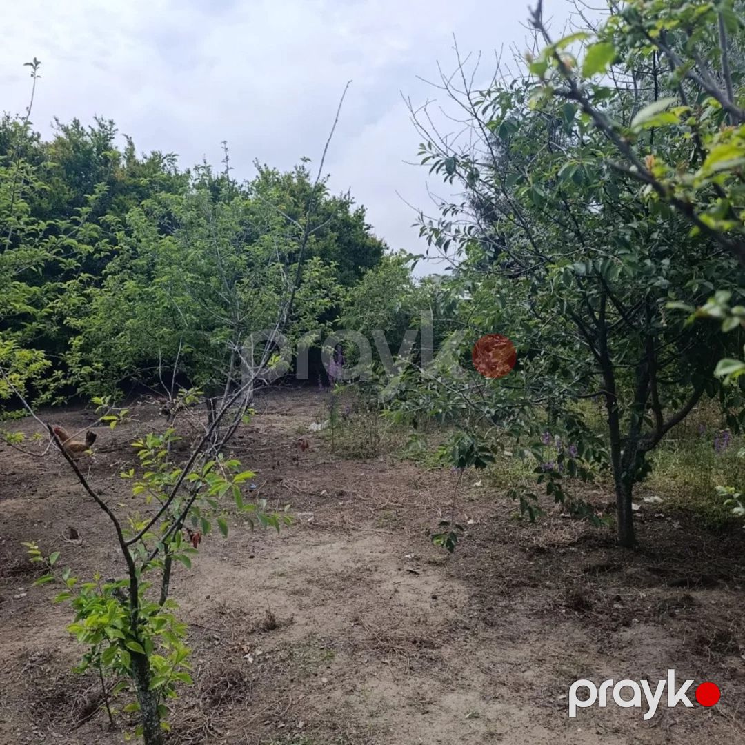 Satılır torpaq 8.6 sot — Torpaq, Bakı