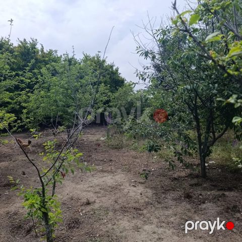 Satılır torpaq 8.6 sot — Bakı