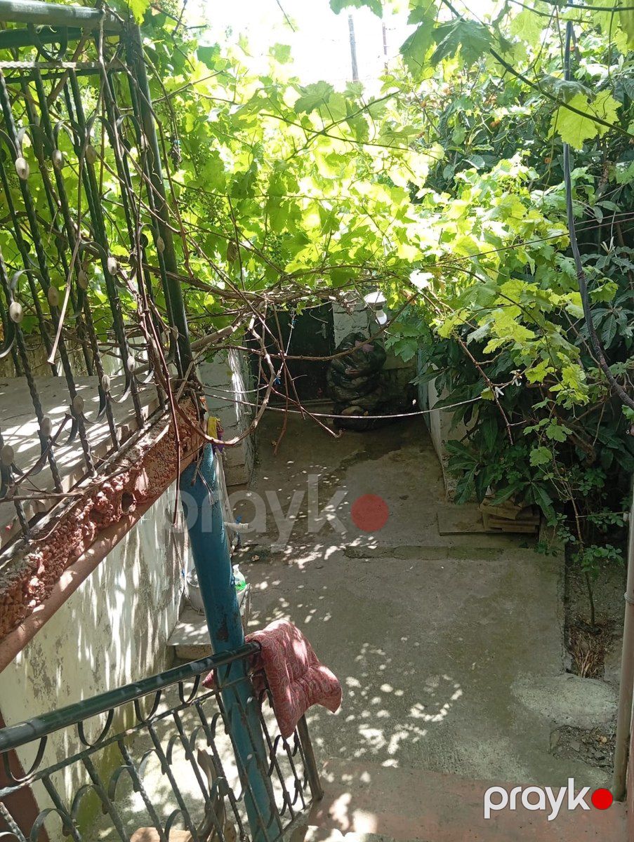 Həyət evi, Qobu Lökbatan yolu — Ev, villa, Bakı (9)
