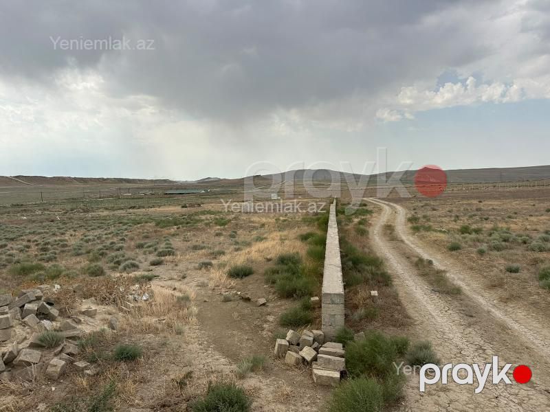 Satılır Torpaq sahəsi, 100 sot, Qobu — Torpaq, Abşeron (3)