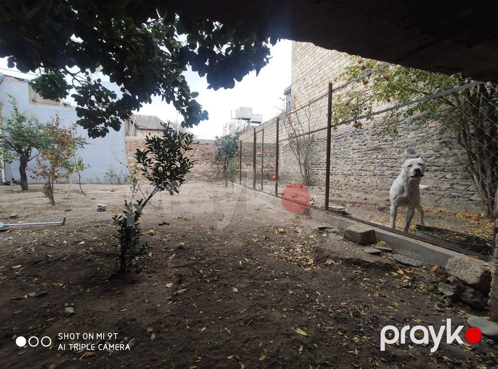 Həyət evi, Gülüstan qəs — Ev, villa, Gəncə (6)