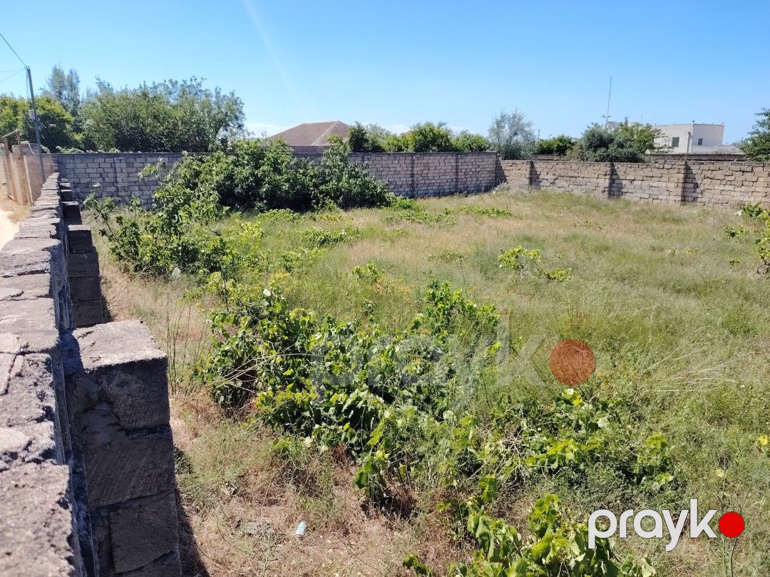 Satılır torpaq 6 sot — Torpaq, Bakı (11)