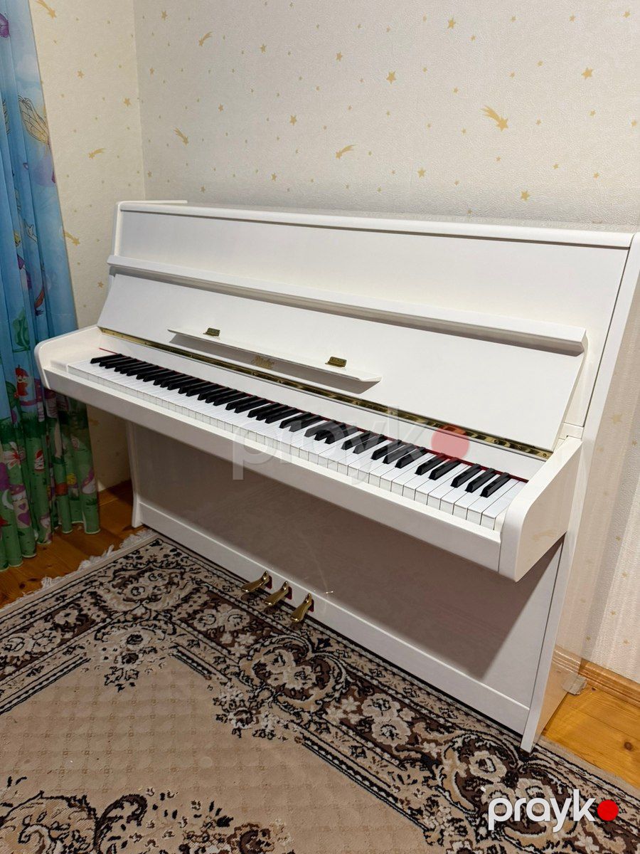 Pianino Rösler — Musiqiə alətləri, Bakı (2)