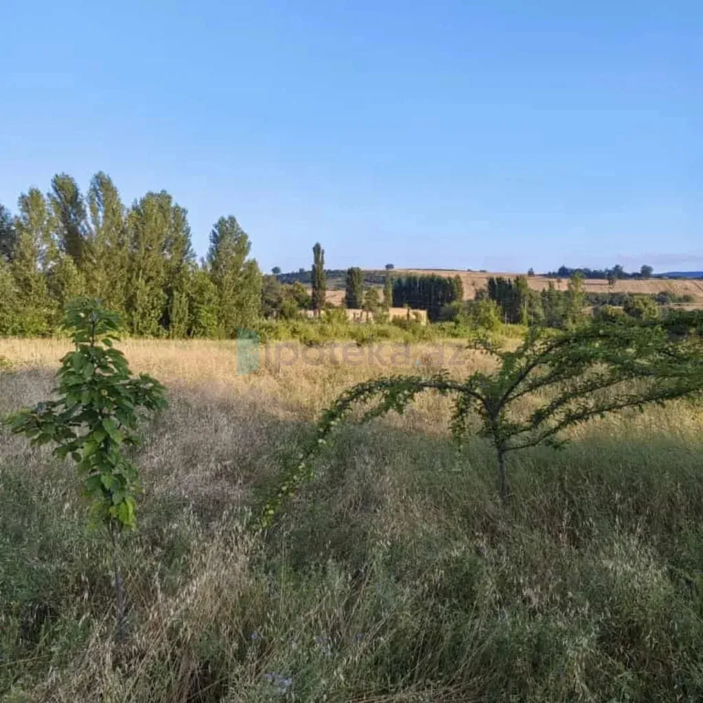Satılır: Torpaq, 200.00 m² — İsmayıllı