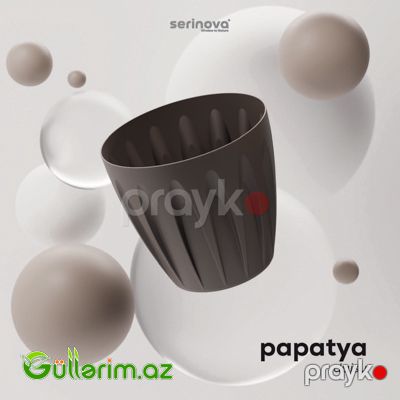 Plastik Dibçək 04 — Bağ dekorasiyası, Bakı (7)