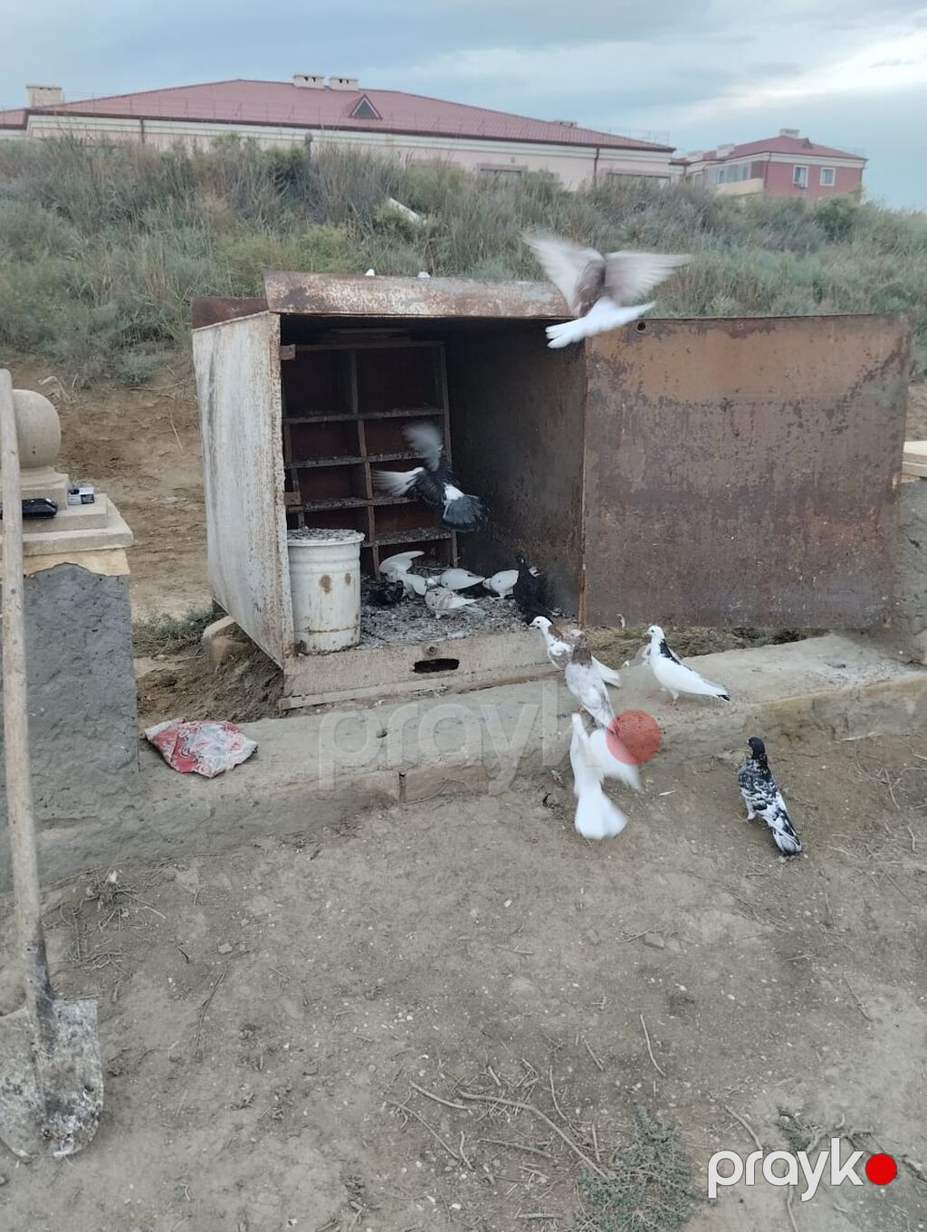 Qusxana Qaradağ Rayon umid qesebesindedi elaqe 070-292-15-48 isdyen — Hazır konstruksiyalar, Bakı (7)