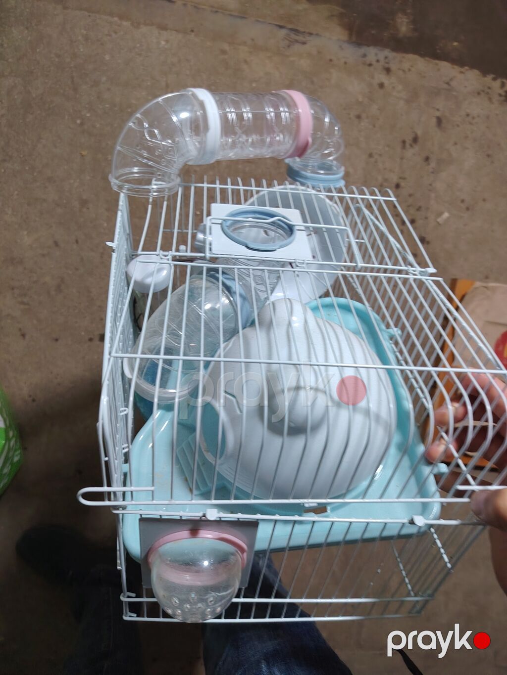 Hamster üçün tam set qəfəs - Ölçü: təxminən kiçik/orta (kompakt, asan — Qəfəslər, Bakı (2)