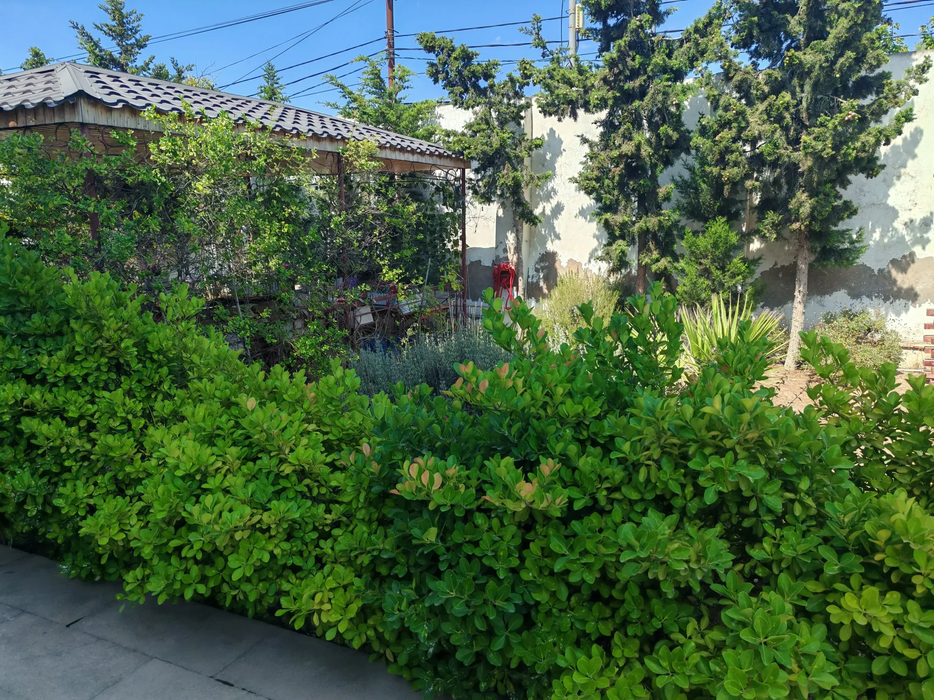 Şüvəlan, 4 otaqlı Həyət evi satılır - 166 m², 2 mərtəbə, 18 sot — Ev, villa, Bakı (9)