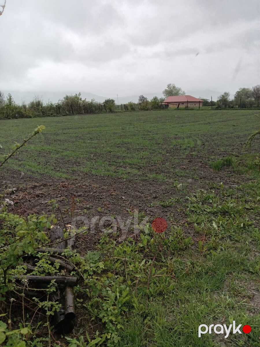 12 sot torpaq sahəsi, Oğuz r — Torpaq, Oğuz (3)