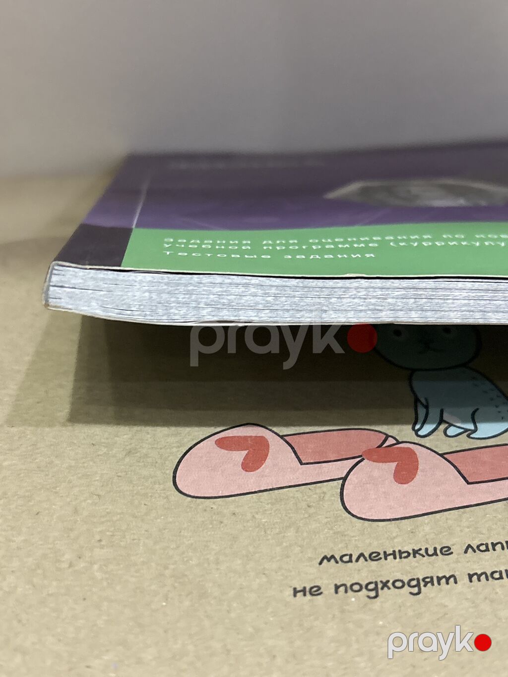 Fizika 8-ci sinif, 2019 il — Kitablar, Bakı (4)