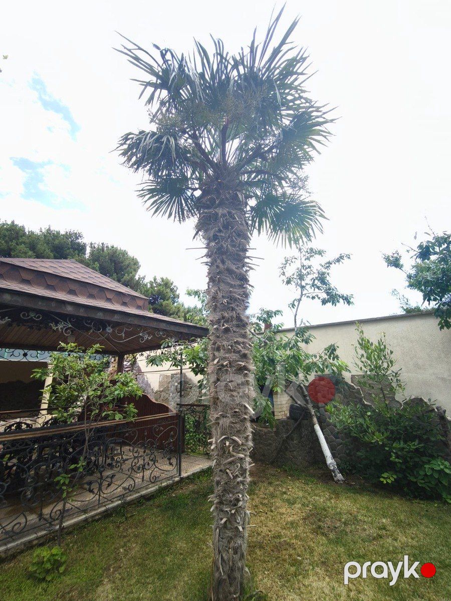 Satılır 7 otaqlı həyət evi/bağ evi 350 m² — Ev, villa, Bakı (5)