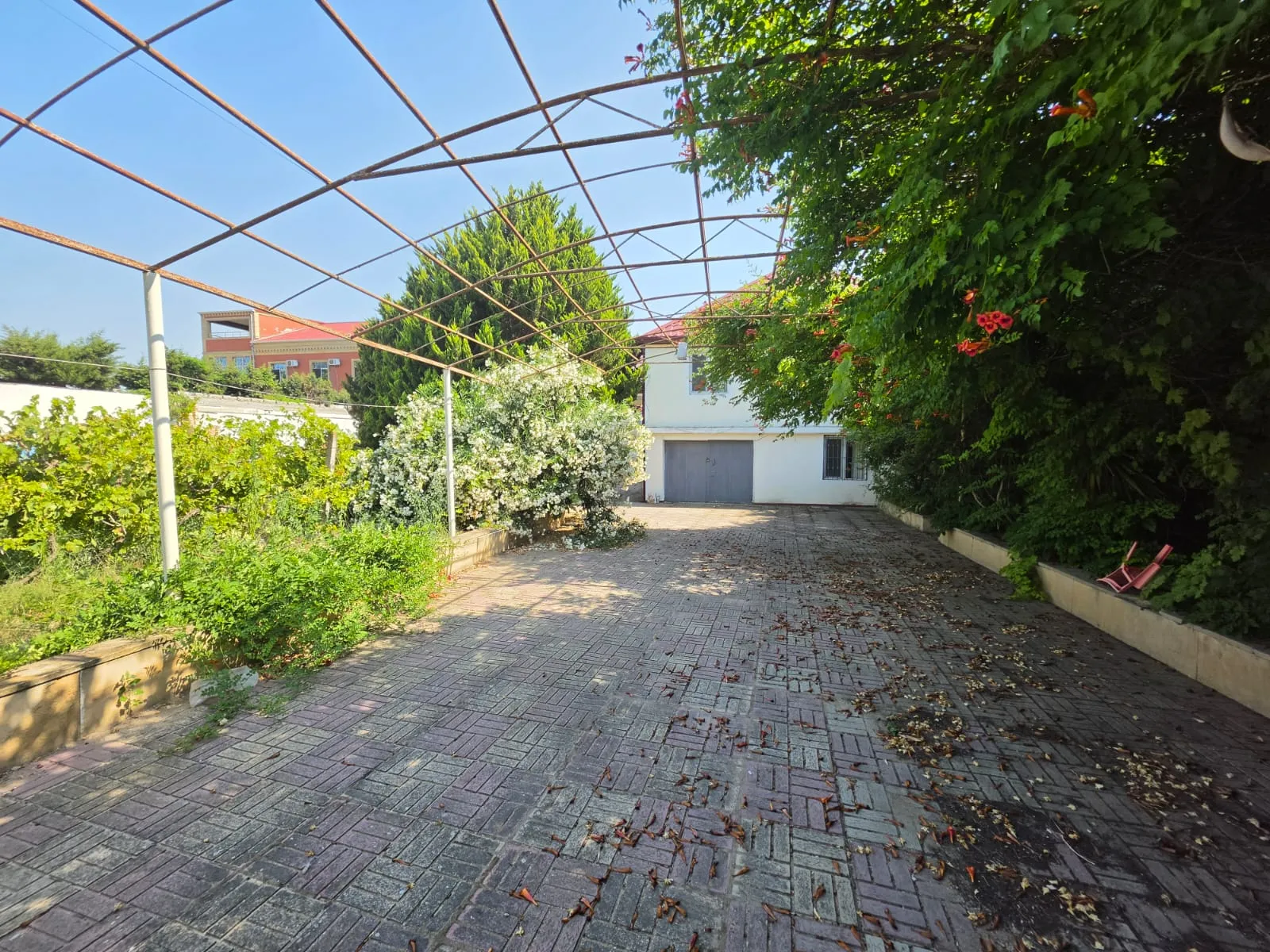 Novxanı, Torpaq satılır - 12 sot — Torpaq, Bakı (2)