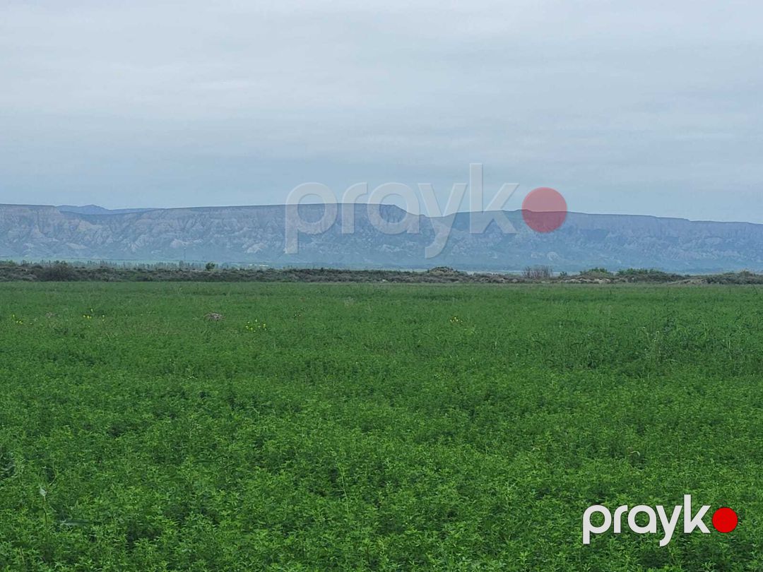 Satılır torpaq 13000 sot — Torpaq, Ağsu (4)