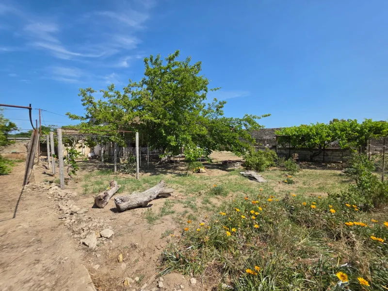 Şüvəlan, Torpaq satılır - 20 sot — Torpaq, Bakı (7)