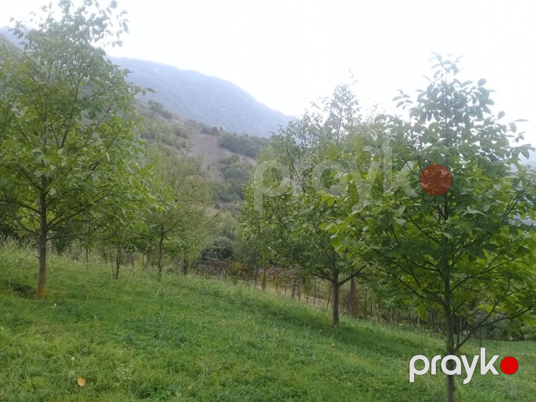 Satılır torpaq 16 sot — Torpaq, İsmayıllı (12)