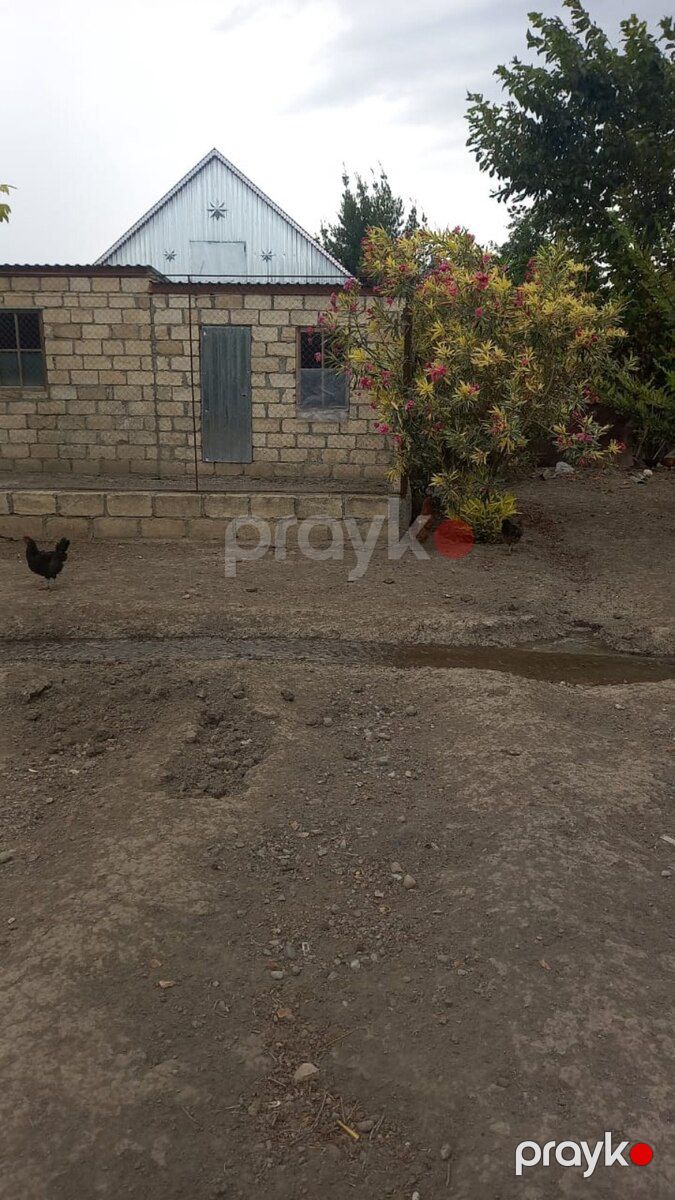 Həyət evi, Yevlax r — Ev, villa, Yevlax (3)