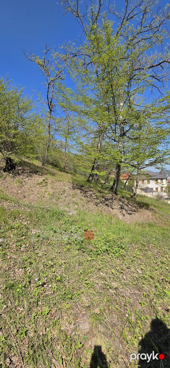 32 sot torpaq sahəsi, Qusar r — Torpaq, Qusar (4)