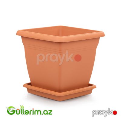 Plastik Dibçək 011