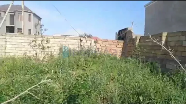 Satılır: Torpaq, Abşeron r., Saray q., 2.00 sot — Torpaq, Abşeron (4)