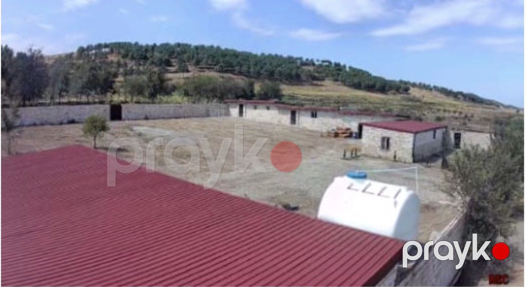 57 sot torpaq sahəsi, Şabran r — Torpaq, Şabran (2)