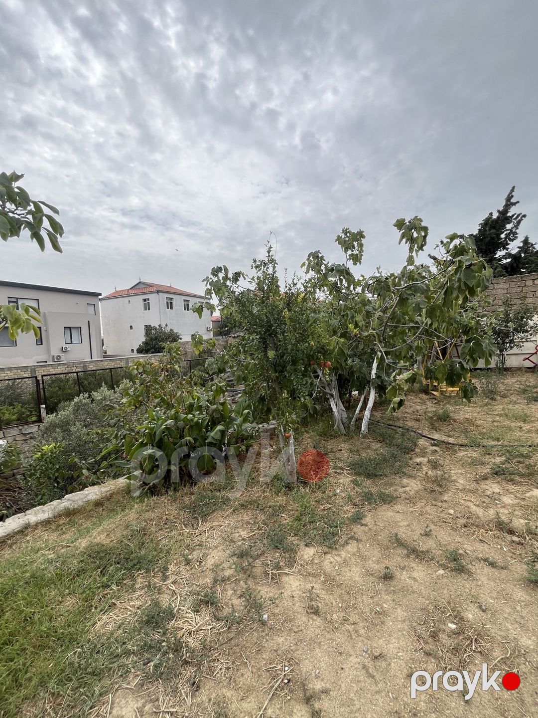 Satılır torpaq 5 sot — Torpaq, Bakı (3)