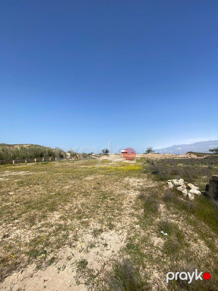 Satılır torpaq 3 sot — Torpaq, Bakı (3)